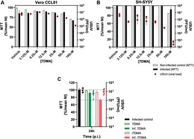 Competing interests during the key N-glycosylation of 6-chloro-7-deaza-7-iodopurine for the synthesis of 7-deaza-2′-methyladenosine using Vorbrüggen conditions